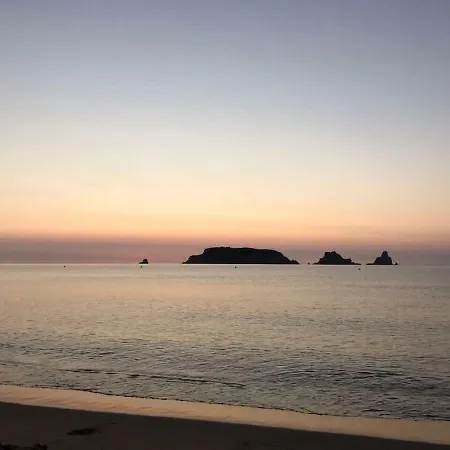 Argonavis Διαμέρισμα